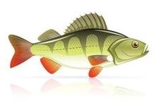 Θαλασσινά για παγκρεατίτιδα